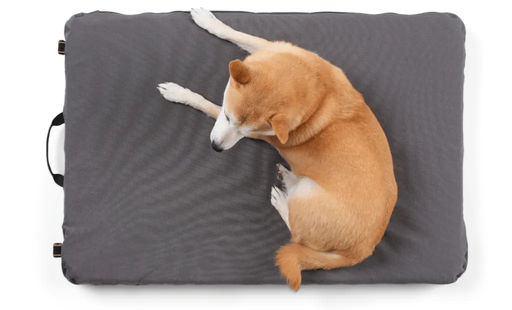Hest hondenbed Medium memory foam oprolbaar