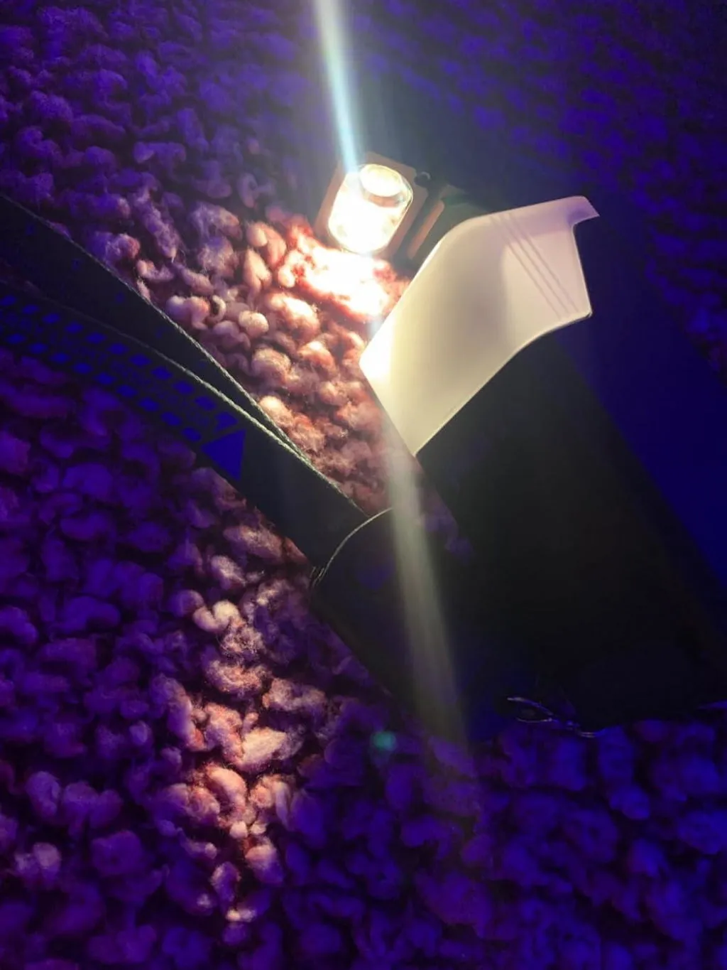 Wuben Lightok X3 Owl zaklamp rood wit licht
