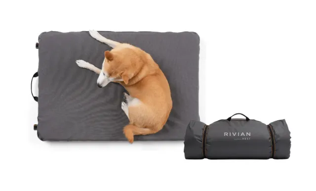 Hest hondenbed Medium memory foam oprolbaar